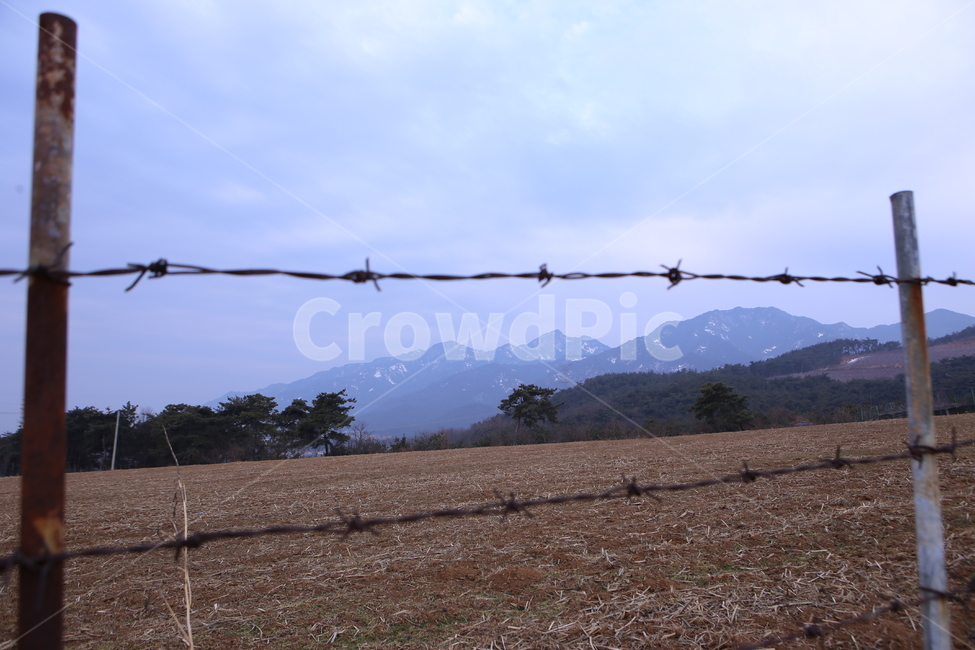 산,눈,철조망,땅,나무,겨울,계절,winter,season,자연,풍경,nature,landscape,한국자연풍경,한국자연경관,korea nature landscape