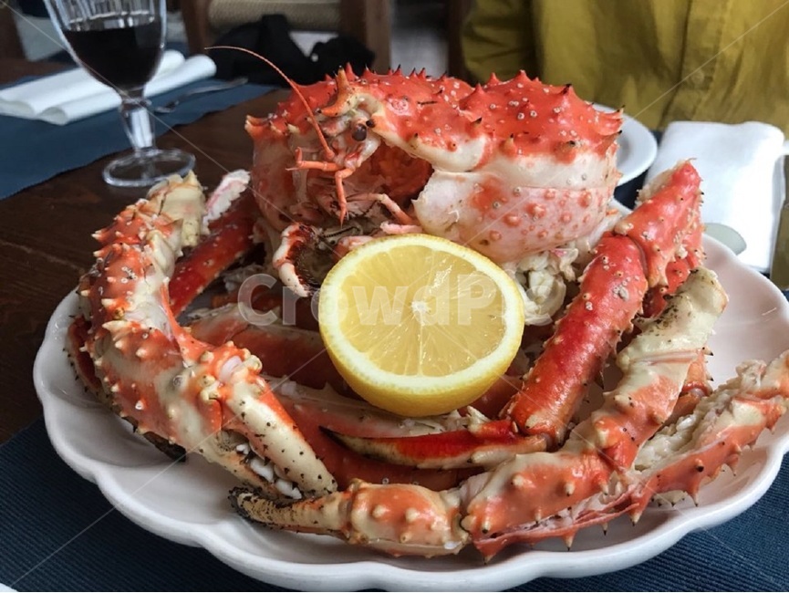 해산물,킹크랩,대게,게,꽃게,음식,식재료,요리,food,cook,meal,dishes,food reserves,수산물,해산물,fishery products,seafood
