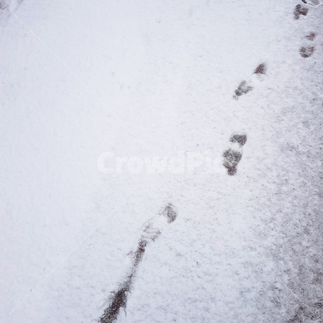 눈,발자국,눈길,snowyroad,겨울,winter,snow,겨울,계절,winter,season
