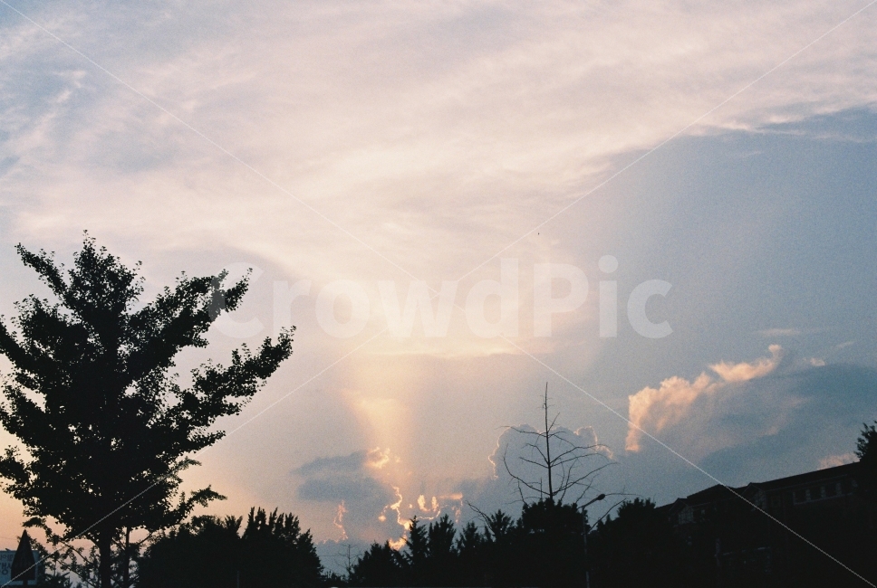 석양,하늘,노을,구름,자연,풍경,nature,landscape,cloud,silverline,filmphotography,감성,자연,풍경,nature,landscape,감성,sensible,feeling,tree,나무,plant,식물,outdoors,옥외