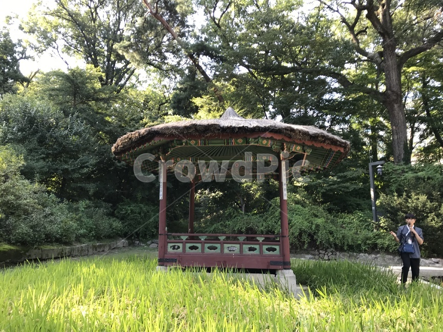 창덕궁,창덕궁후원,창덕궁전각,changdeokgung,창덕궁내부,한국전통,한국문화,korean traditional,korean culture,건축물,건물외관,exterior,building,structure,architecture,construction
