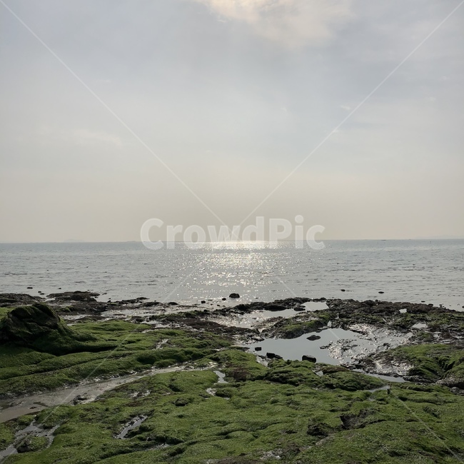 하늘,풍경,자연,바다,바위,이끼,자연,풍경,nature,landscape,plant,식물,algae,조류