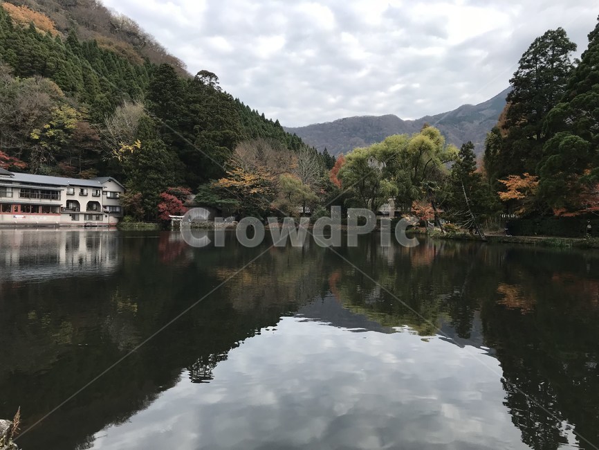 긴린코호수,긴린코,유후인,호수,후쿠오카,자연,풍경,숲,울창한,japan,일본,흐린날