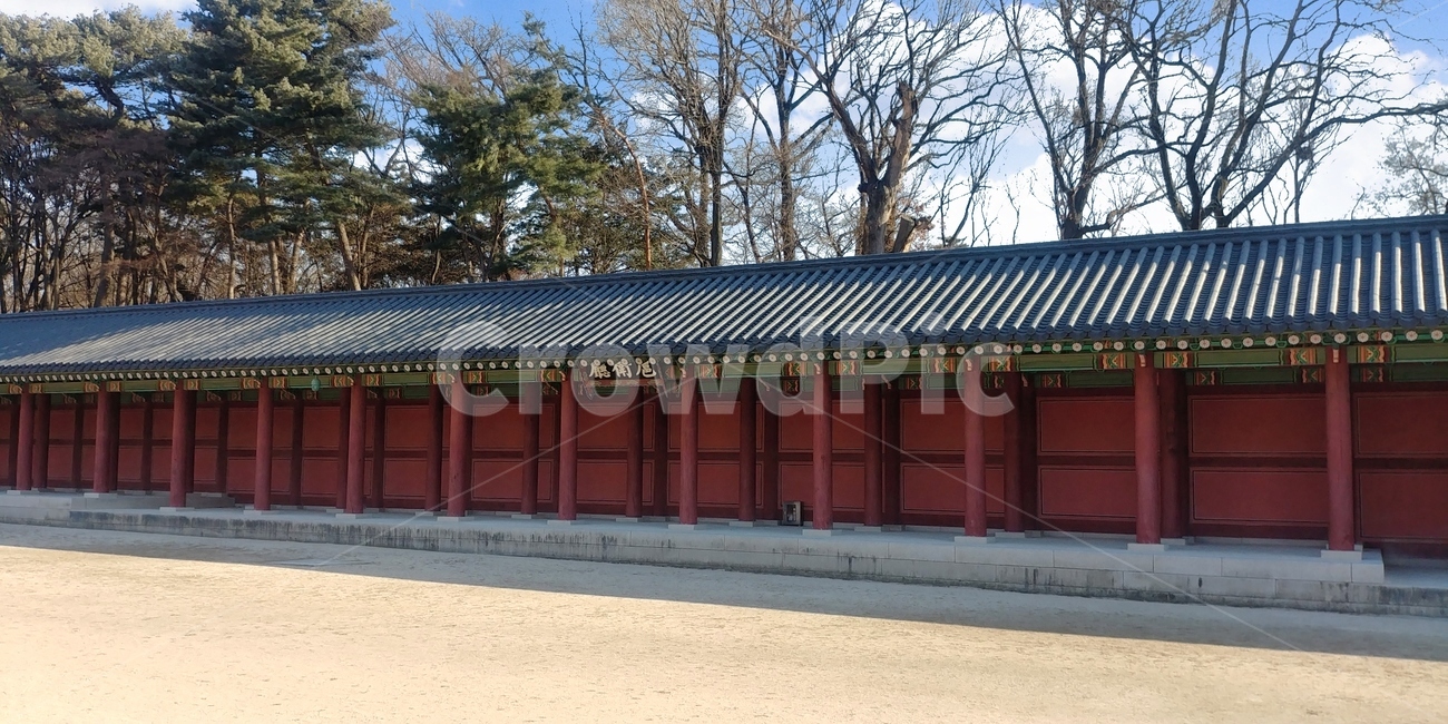 창덕궁,궁,조선,기와,전통건축,한국전통,한국문화,korean traditional,korean culture,랜드마크,landmark,tourist attraction,한국랜드마크,한국관광지,한국명소,korea landmark,korea tourist attraction,건축물,건물외관,exterior,building,structure,architecture,construction