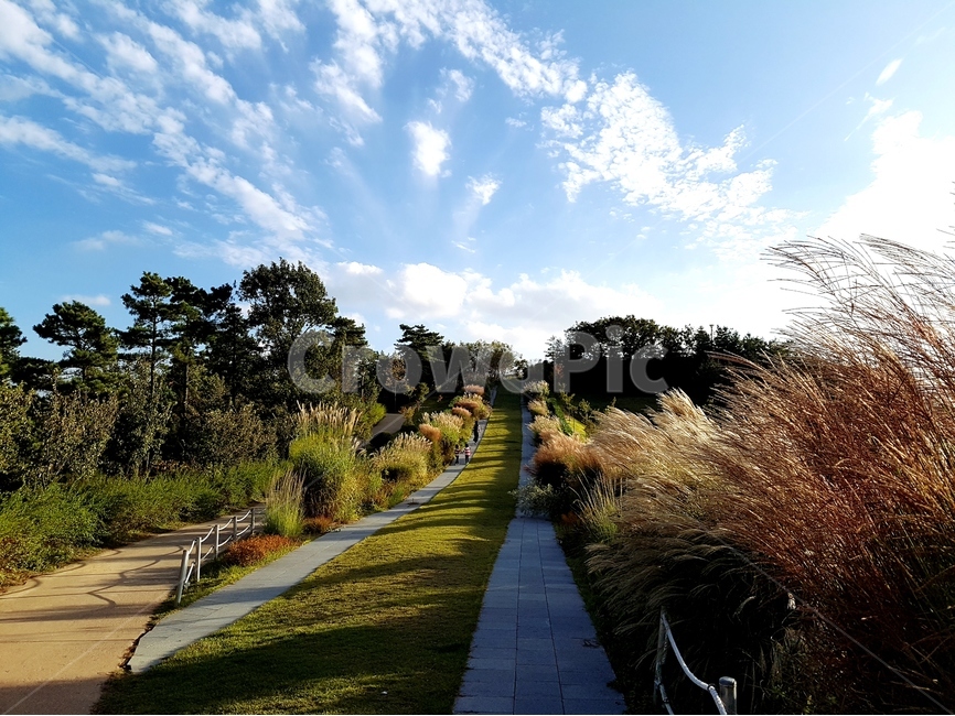 영인산,하늘,구름,풍경,가을,가을,계절,fall,autumn,season,자연,풍경,nature,landscape,한국자연풍경,한국자연경관,korea nature landscape,path,통로