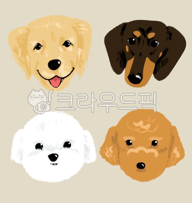 강아지,강아지일러스트,강아지그림,골든리트리버,골든리트리버일러스트,닥스훈트,닥스훈트일러스트,말티즈,말티즈일러스트,푸들,푸들일러스트