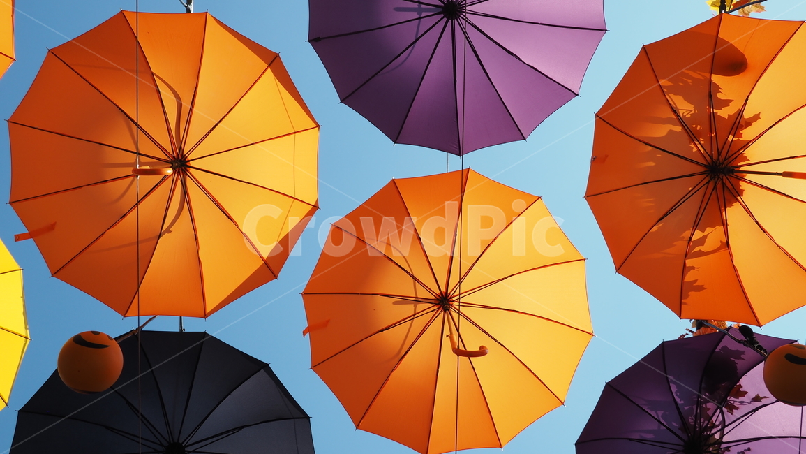 우산,색,컬러,하늘,sky,umbrella,color,colorful,주황색,orange,노란색,yellow,보라색,purple