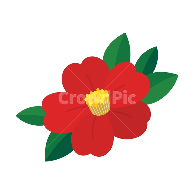 꽃,동백,동백꽃,잎,꽃잎,식물,새해,신년,겨울,빨강,일러스트,red,illustration,flower,leaf,blossom,petal,plant,design,vector,winter,그래픽,일러스트레이션,graphic,illustration