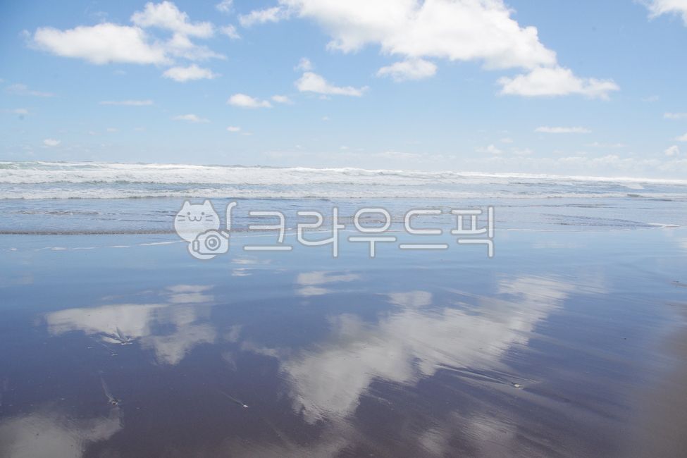 뉴질랜드,바다,자연,파도,대양,물,sea,shoreline,ocean,nature,해안선,water,옥외