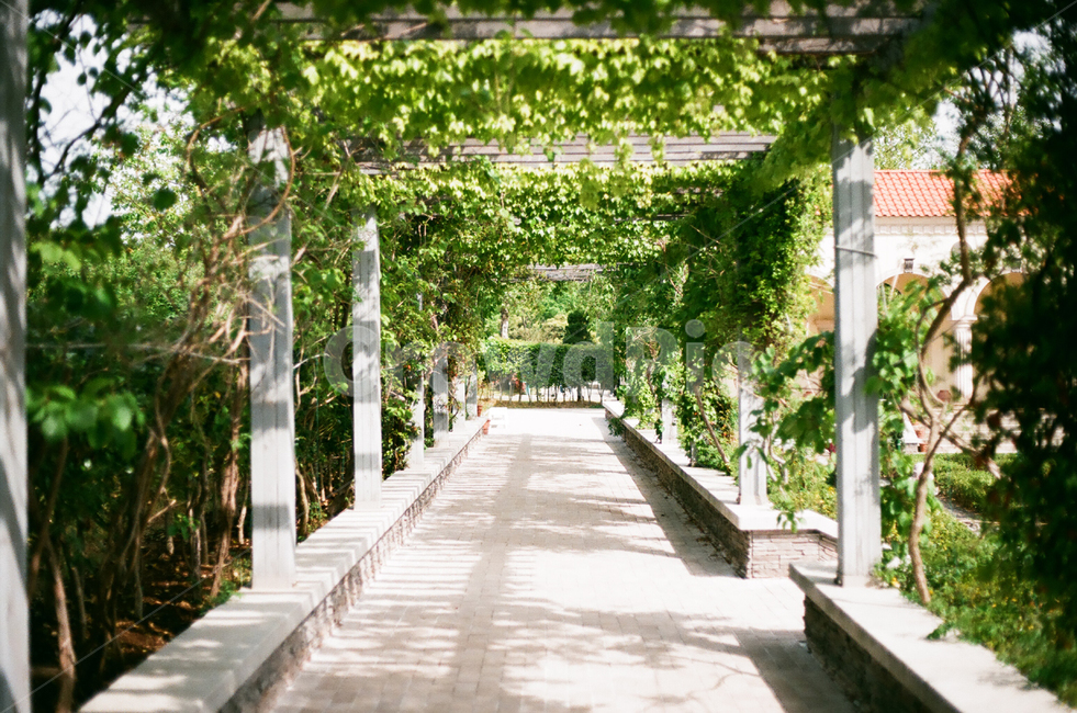 porch,arbour,outdoors,patio,정자,pergola,옥외,안마당,garden,식물,자연,plants,nature