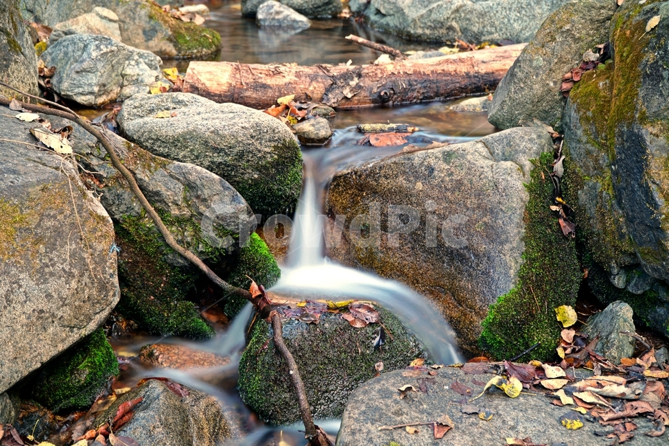 계곡,무지랭이계곡,경기도,경기북부,의정부,자연,가을,autumn,fall,11월,낙엽,물,water,나무,바위,돌,암석,tree,nature,rock,valley,outdoors,fallen,leaf,잎,식물,plant,이파리,단풍,한국,한국자연,korea,november,leaves,이끼,가을,계절,fall,autumn,season,자연,풍경,nature,landscape,옥외