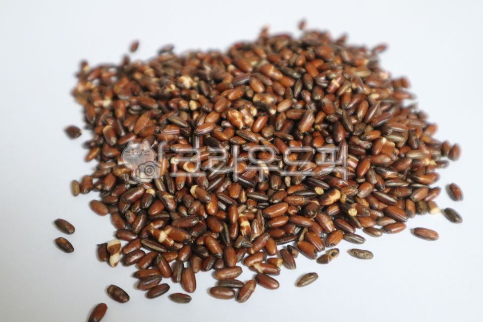 현미,재료,건강한,비건,식물성,볶은현미,탄수화물,익히지않은,요리,마른,식사,통곡물,곡물,음식,밥,농업,agriculture,germinationunpolishedrice,carbohydrates,rice,plantbased,farming,wholegrain,cookedrice,vegandiet,uncooked,eating,cooking,dry,ingredient,cuisine,vegan,vegetarian,brownrice,nutrition,meal,grain,food