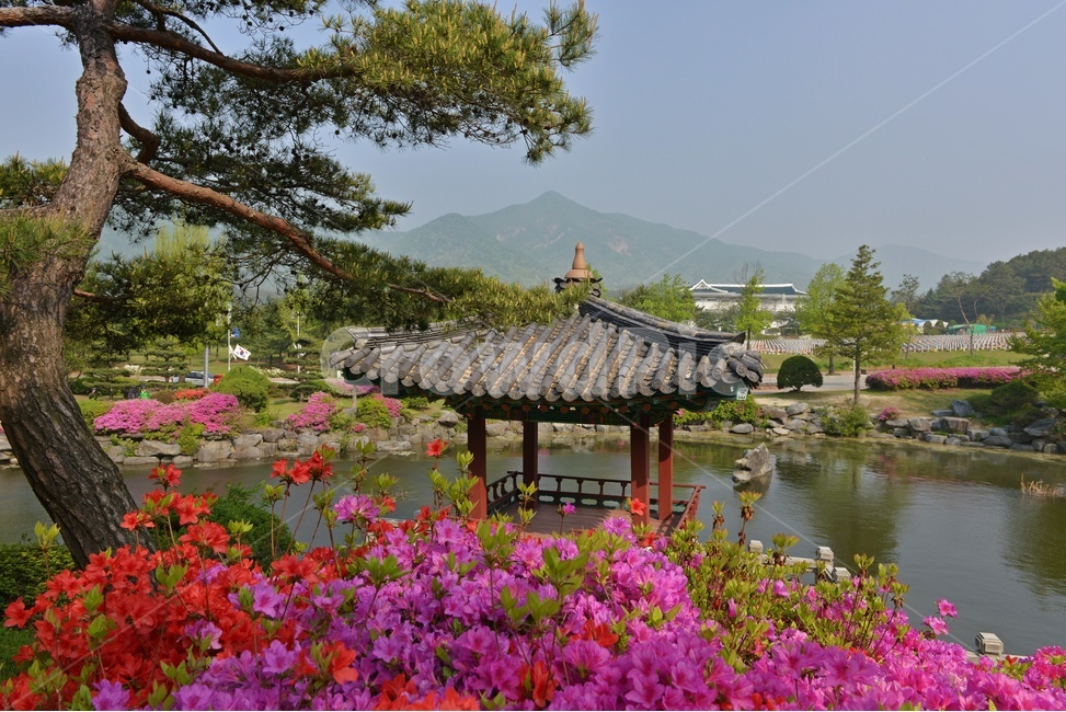 충남,대전,현충원,국립현충원,현충지,pond,못,garden,정원,연못,반영,현충지봄,철쭉,철쭉꽃,봄,계절,경치,경관,풍경,outdoors,옥외,nature,자연,water,물,plant,식물,tree,나무,정자,쉼터