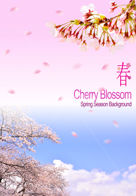 newsletter,cherry,pink,Cherry Blossom,Spring background,cherryblossom,sign,april,Spring Flower Festival,spring flowers,spring,season,graphic,gay,Cherry Blossom Festival,shear,Catalog,background,tree flower,leaflet,poster,frame