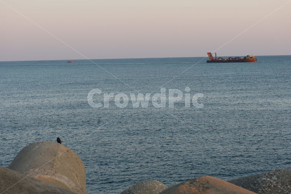 방파제,바다,새,breakwater,bird,배