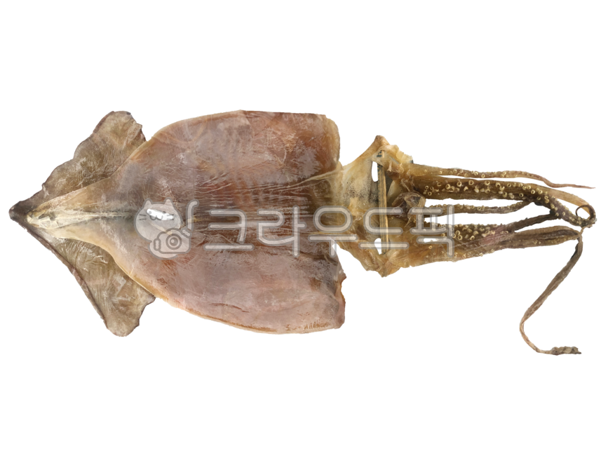 Beer snacks,Nukki,snack,dried squid,ingredients,alcoholsnacks,cooking,snacks,seafood,Drink snacks,transparentbackground,beersnacks,png,aquaticproducts,food,Beef bowl,driedsquid,transparent background,background,calamari,squid