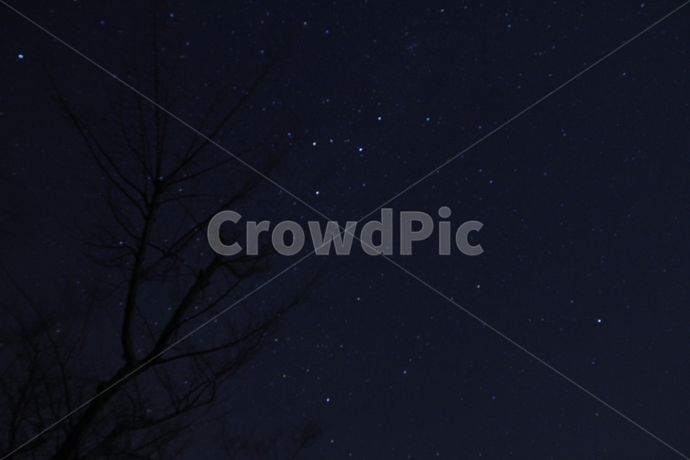 카시오페이아,오리온,카시오페이아자리,오리온자리,별자리,별,비행기,밤,star,밤하늘,우리내,미리내,sky,night,야경,밤,풍경,nightscape,night,landscape,nature,자연,outdoors,옥외,outer space,대기권 밖,astronomy,천문학,universe,우주,starry sky,별이 빛나는 하늘