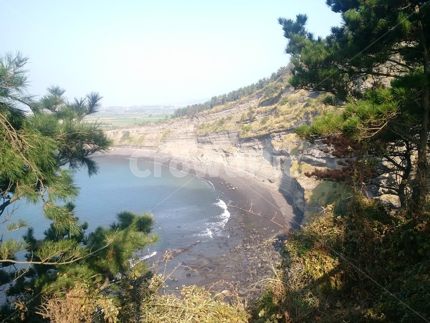 자연,바다,식물,nature,plant,sea