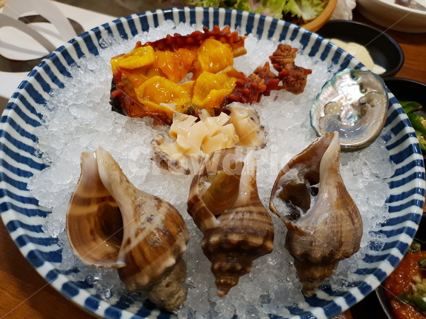 회,소라,해산물,전복,음식