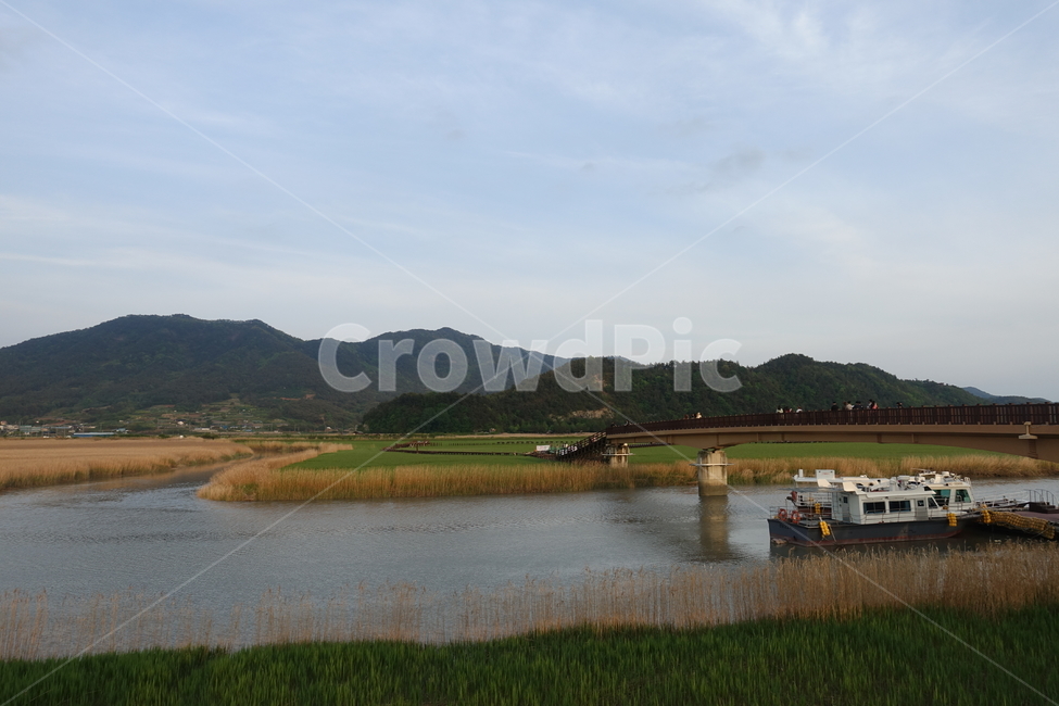 순천,순천만,습지,갈대,산,자연,nature,water,물,outdoors,배,boat