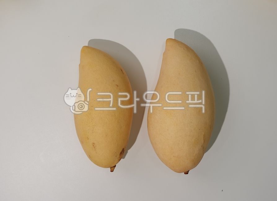 fruit,yellow fruit,yellow mango,lateripening fruit,food,mango,Thai Mango,Mango size comparison,tropical fruit