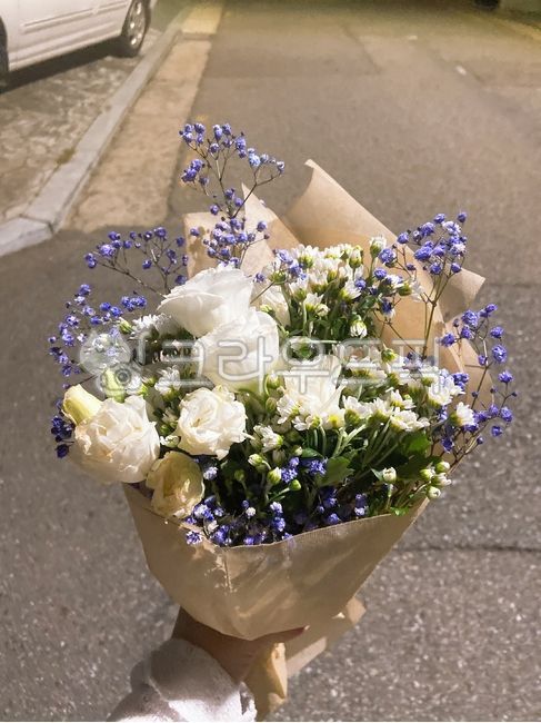 plant,식물,flowerbouquet,꽃다발,꽃,flowerarrangement