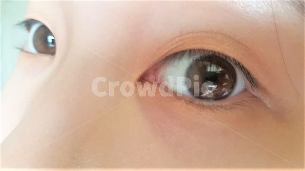 눈,눈알,eye,eyes,얼굴