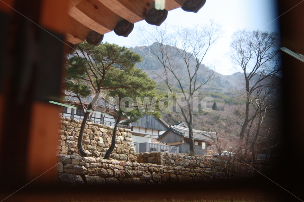 미황사,해남,사찰,절,경내