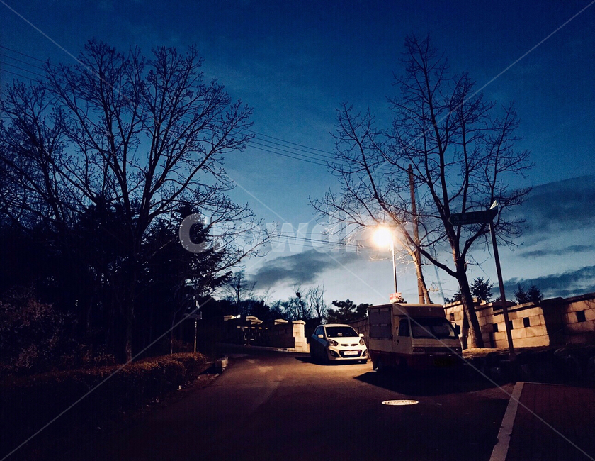 밤,어둠,길,드라이브,하늘,나무,도로,자동차,가로등,야경,밤,풍경,nightscape,night,landscape