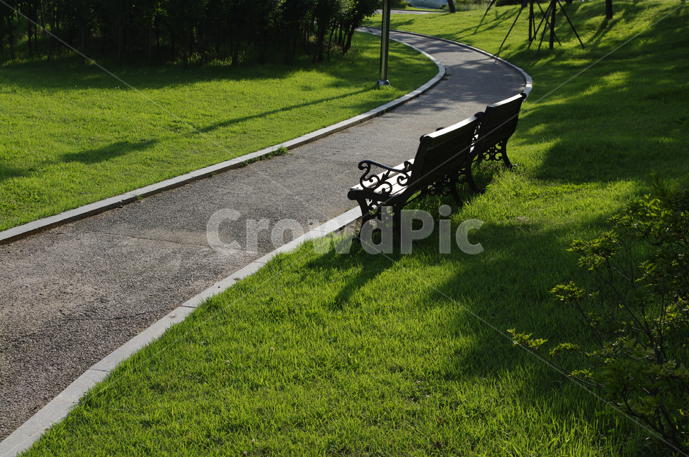 길,잔디,의자,공원,초록,자연,풍경,nature,landscape,bench,벤치,asphalt,아스팔트,grass,plant,식물