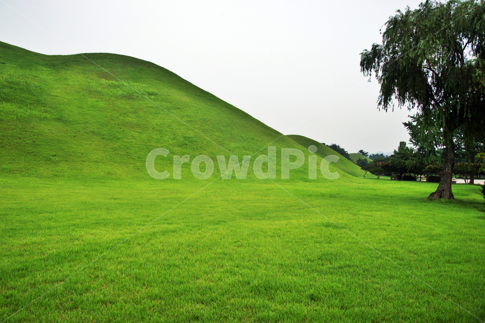 대릉원,신라,왕실,무덤,왕릉,랜드마크,랜드마크,landmark,tourist attraction,한국랜드마크,한국관광지,한국명소,korea landmark,korea tourist attraction