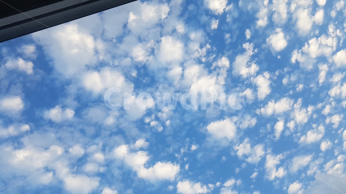 구름,솜사탕,몽글몽글,하늘,그림같은,닿을것같은,눈구름,snow,cloud,sky,blue,자연,풍경,nature,landscape,azure sky,푸른 하늘,outdoors,옥외