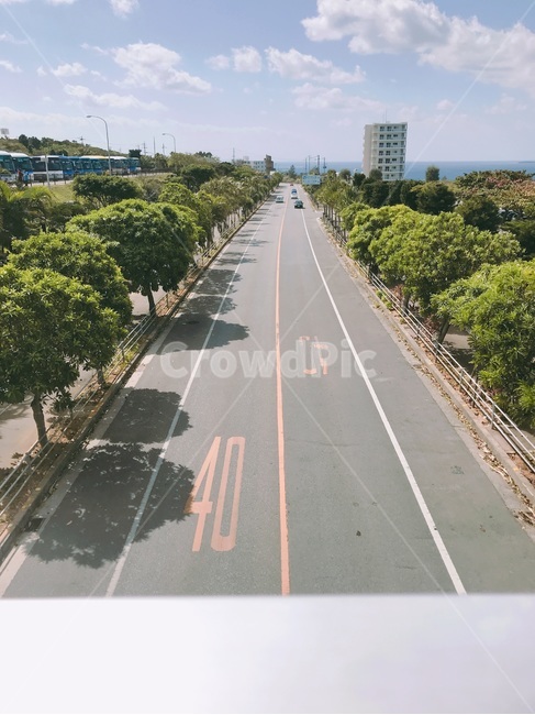 육교,도로,하늘,구름,감성,나무,아스팔트,자연,인공,고속도로,road,freeway,highway,교통,교통수단,traffic,transportation