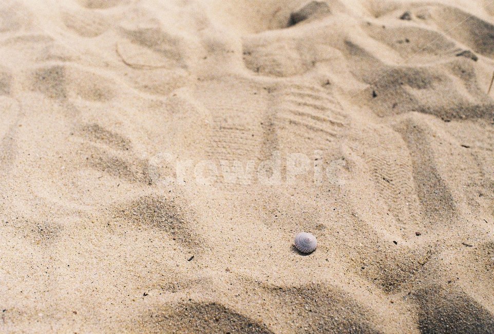모래,해변,바다,조개,모래사장,sand,sea,shellfish,해운대,발자국,해변,바다,beach,sea,감성,sensible,feeling