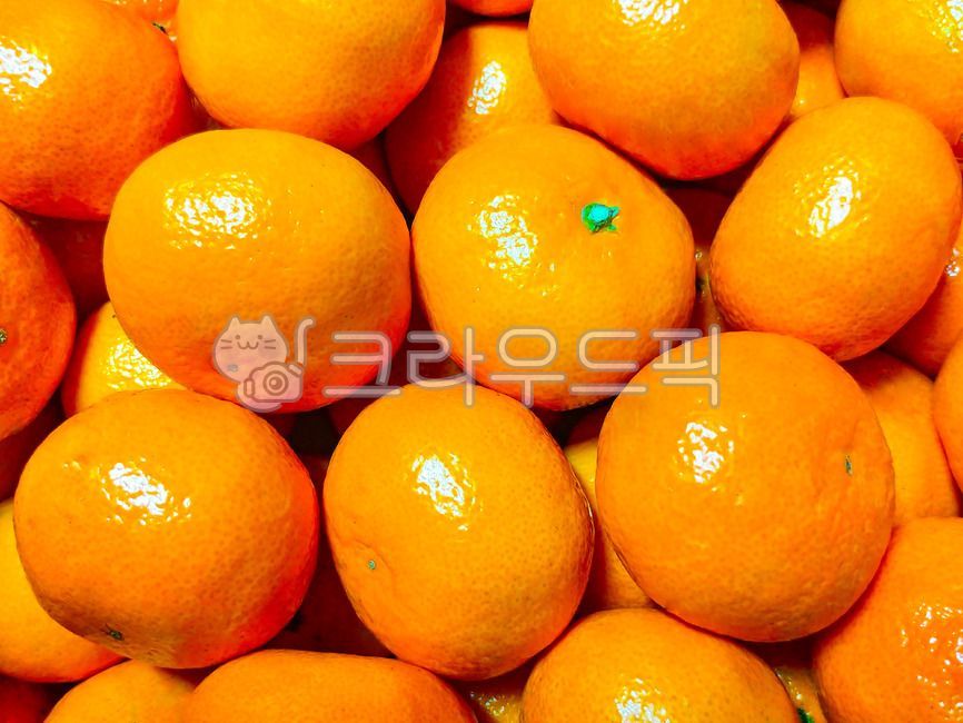 귤,오렌지,특산물,과일,감귤,음식,식물,식품,가을,배경,바탕,백그라운드,제주특산물,특산품