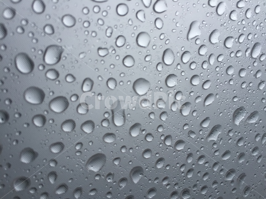 우산,비,물방울,natural,raining,rain,회색,umbrella,비,비오는날,rain,rainy