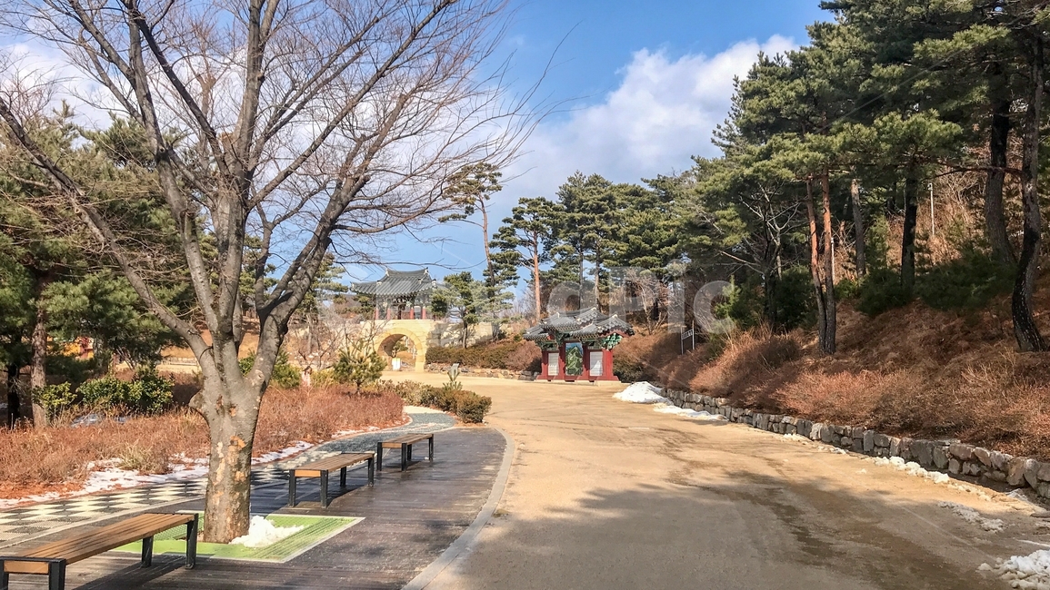 풍경,낙산사,강원도,양양,관광지,자연,풍경,nature,landscape,한국자연풍경,한국자연경관,korea nature landscape,tree,나무,plant,식물