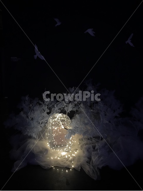 빛,light,불빛,조명,어둠