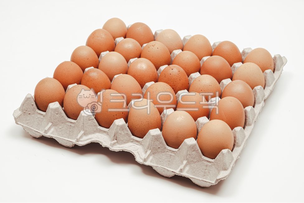 달걀상자,달걀,식료품,달걀껍질,단백질,아침식사,신선,식품,특란,왕란,달걀판,농산물,껍데기,계란,껍질,음식,클로즈업,탑뷰,식재료,신선란,음식재료,계란판,부활절,유기농,부활절달걀,부활절계란,신선식품,건강식품,계란한판,달걀한판,30개,음식,식재료,요리,food,cook,meal,dishes,food reserves