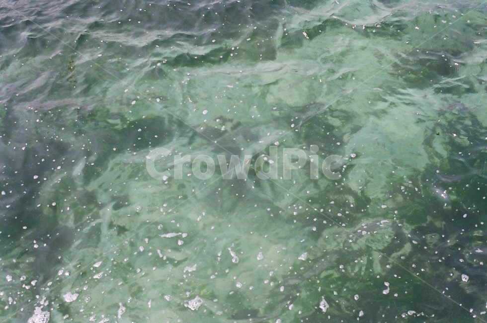 바다,감성사진,해변,파도,물속,자연,색감,컬러,초록색,바닷속,제주도,우도,ocean,color,green,sea,udo,jeju,wave,물결,시원함,힐링,자연,풍경,nature,landscape