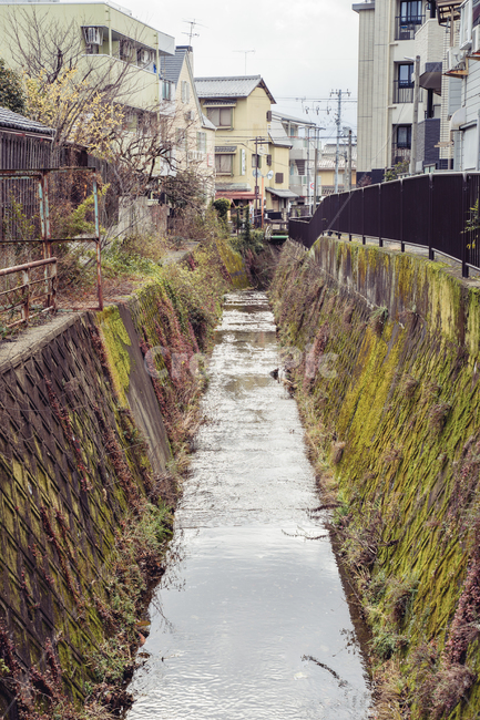 도랑,풍경,이끼,주택가,건물,도시,풍경,city,landscape,골목길,alley,해외,외국,세계,foreign,oversea,world,세계도시풍경,해외도시풍경,외국도시풍경,world cityscape,ditch