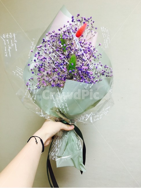 꽃다발,꽃,안개꽃,선물,flower