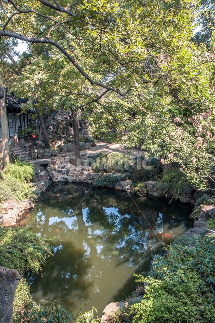 water,물,nature,자연,outdoors,옥외,중국,쑤저우,판문,판먼,china,suzhou,panmen,식물,자연,plants,nature,나무,trees,wood