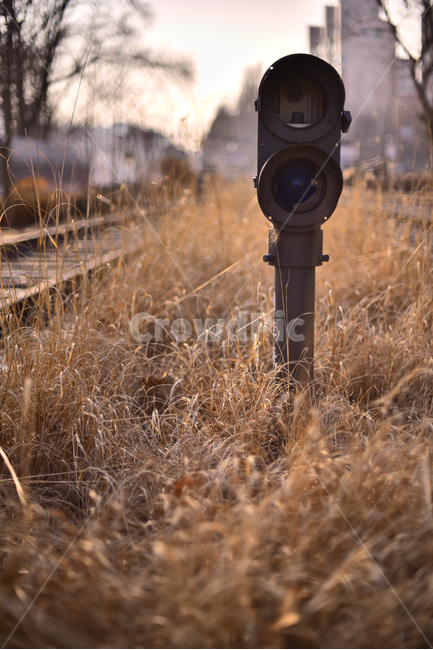 빈티지,철길,운송수단,대중교통,감성사진,철로,금속,평행선,아이언,rust,낡은,깨진,cross,침목,vintage,old,오래된,세월,흔적,길,road,line,라인,선,원근감,나무,겨울풍경,레트로,복고풍,train,vehicle,쓸쓸함,텅빈,야외,옥외,아웃도어,배경,바탕,백그라운드,안내등,신호등,transportation,교통,기찻길,traintrack,철도,레일,railway,rail