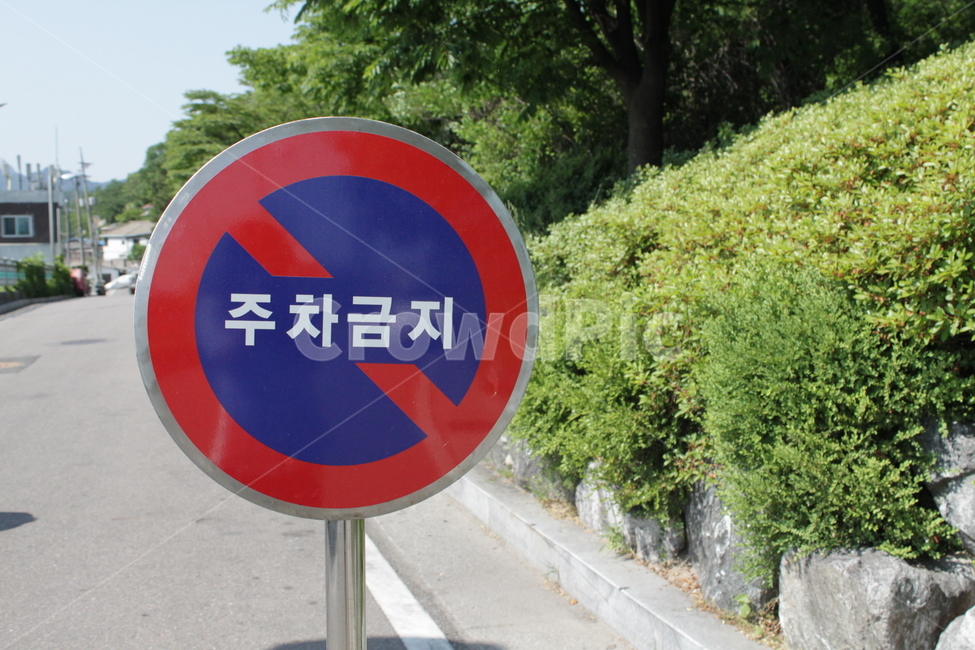 표지판,주차,주차금지,금지,주정차,교통,교통수단,traffic,transportation