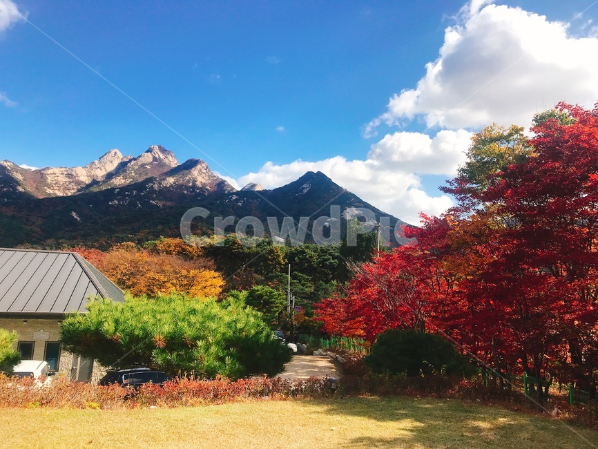 가을,북한산,북한산뷰,야외결혼식,풍경,단풍나무,가을북한산전경,maple,nature,outdoors,자연,옥외,가을,계절,fall,autumn,season,자연,풍경,nature,landscape
