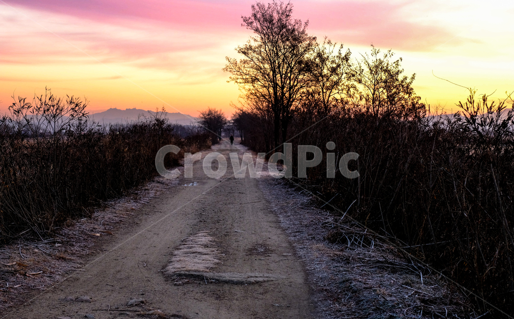 겨울,길,나무,아침,하늘,풍경,자연,아침빛,자연,풍경,nature,landscape,road,도로,asphalt,아스팔트,dirt road,흙길,gravel,자갈