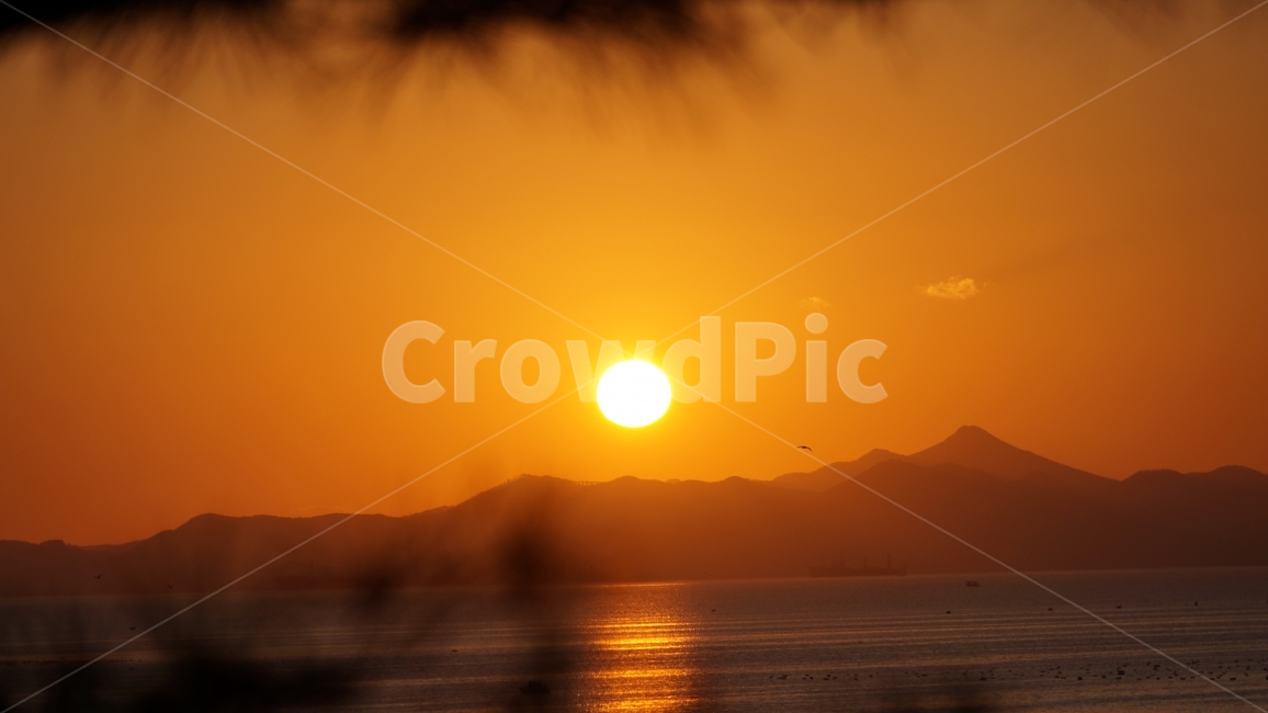 새해,일출,풍경,자연,해돋이,자연,풍경,nature,landscape,sunlight,햇빛,outdoors,옥외