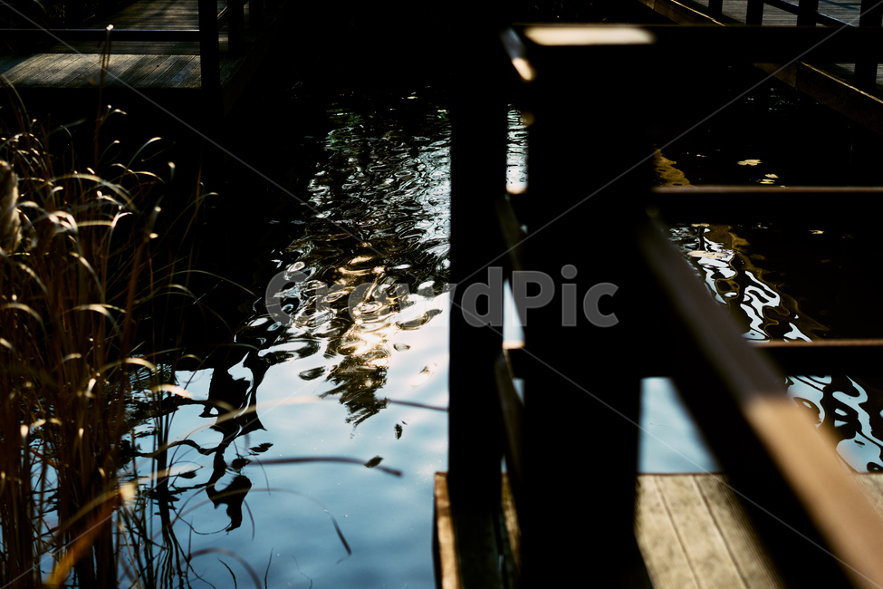 자연,풍경,가을,감성,낙엽,감성사진,나뭇잎,가을,계절,fall,autumn,season,감성,sensible,feeling,water,물,handrail,난간,banister