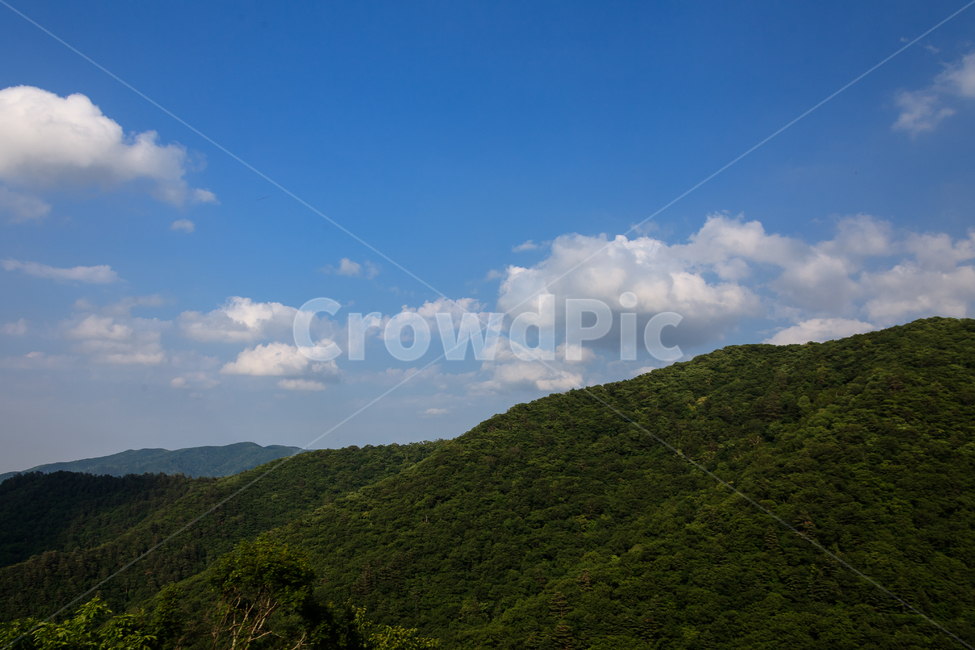 알펜시아,강원도,환경,농촌,구름,숲,공원,맑은,풍경,여름,자연,풍경,nature,landscape,outdoors,옥외,hill,언덕